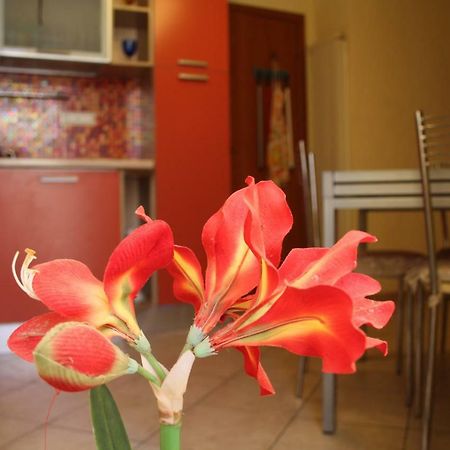 Pisa Town Bed and Breakfast Exterior foto