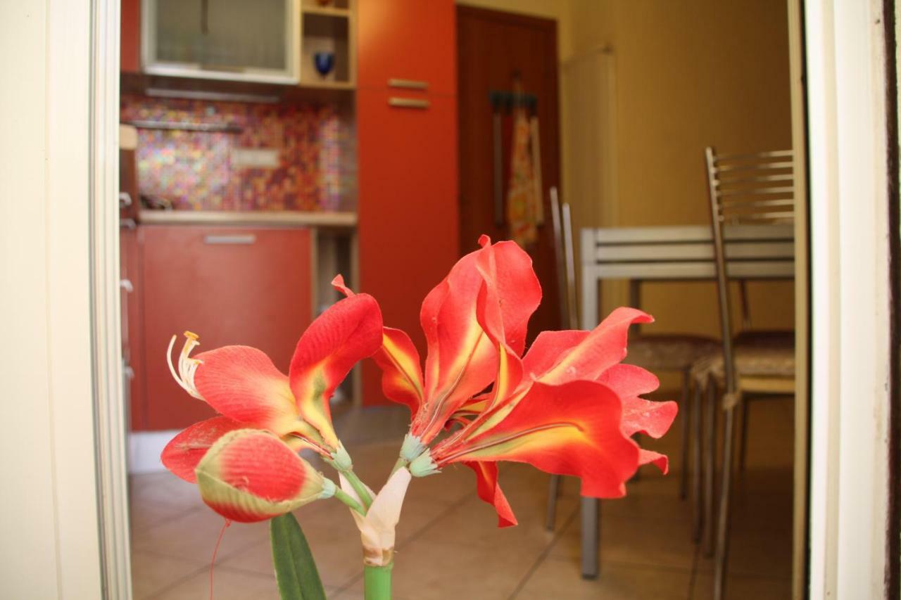 Pisa Town Bed and Breakfast Exterior foto