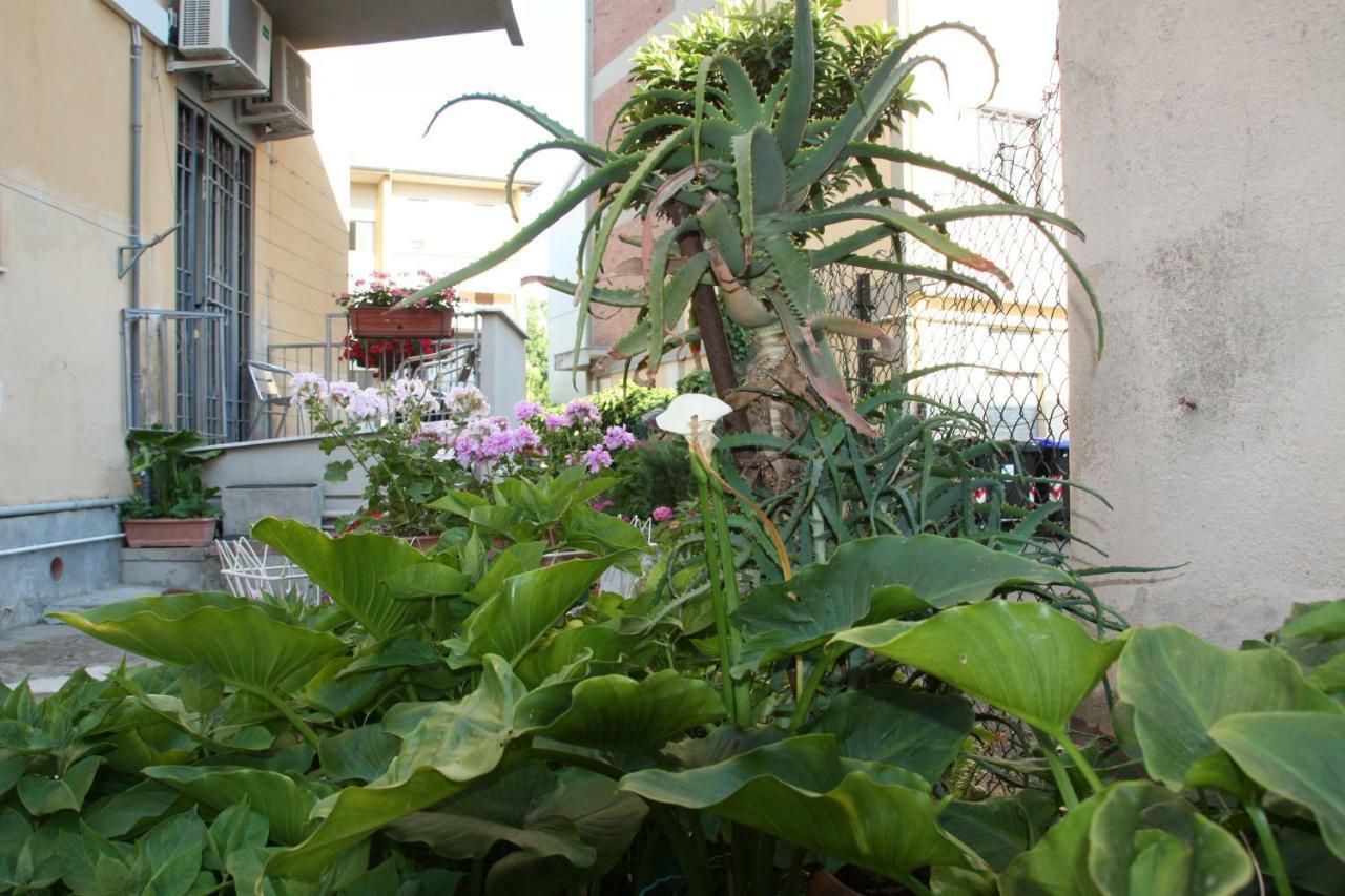 Pisa Town Bed and Breakfast Exterior foto