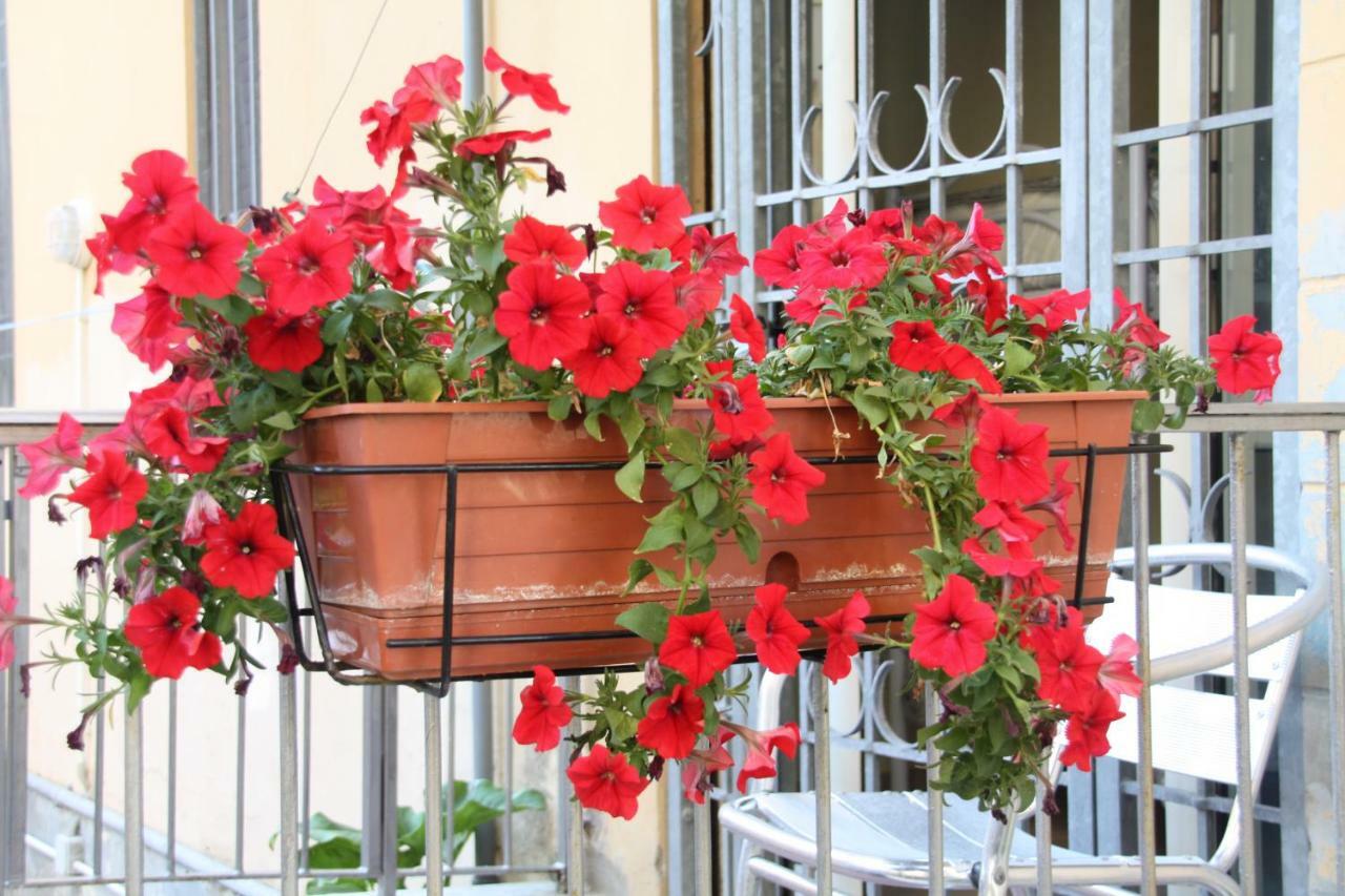 Pisa Town Bed and Breakfast Exterior foto