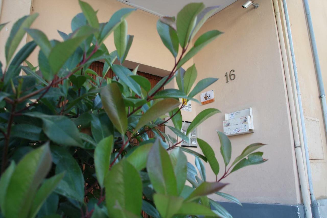 Pisa Town Bed and Breakfast Exterior foto